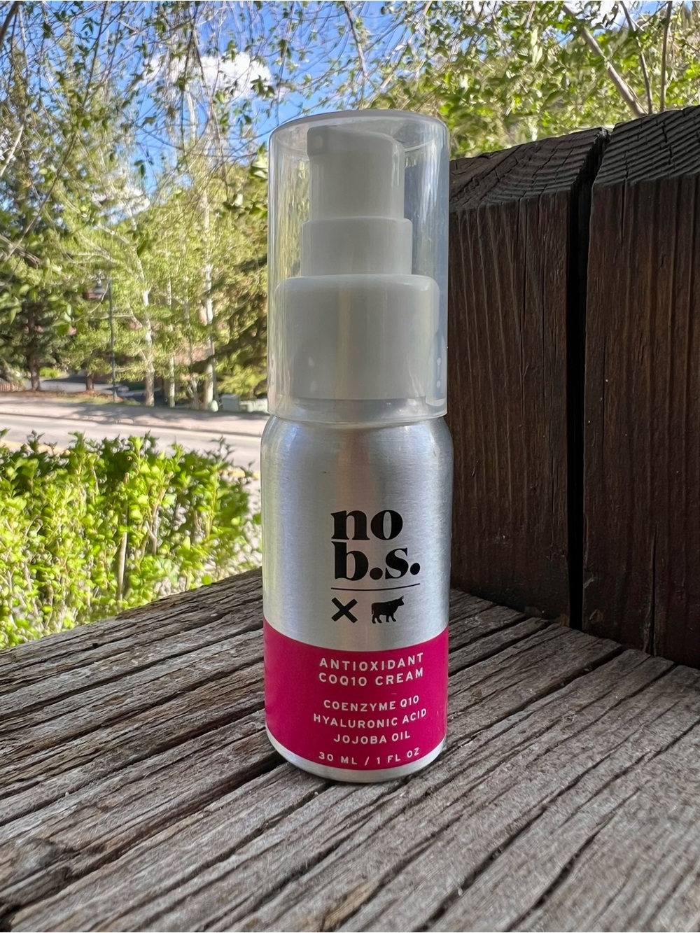 no b.s. Antioxidant CoQ10 Cream